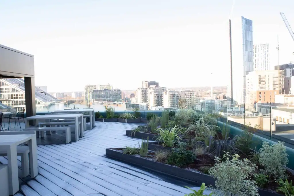 Climat Manchester rooftop plant installation by I Want Plants
