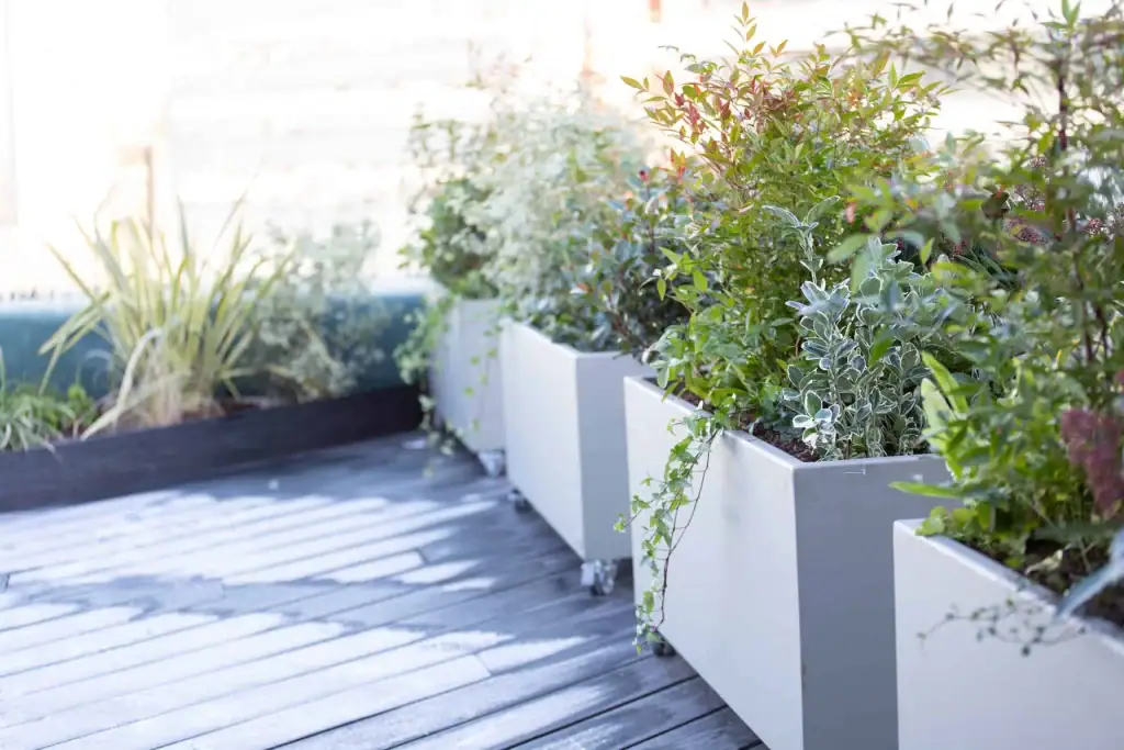Live trough plant design at Climat restaurant