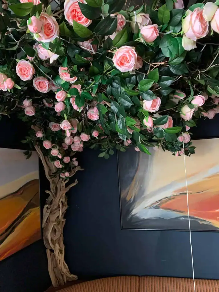 Tree in the entrance of The Club restaurant in Jersey by I Want Plants