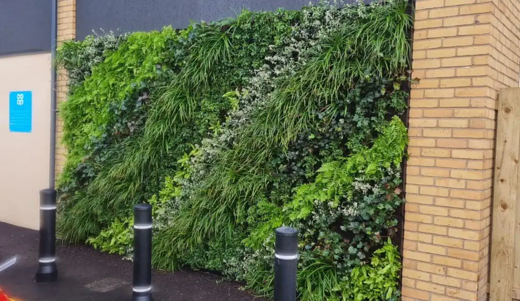 HYVERT living wall for Co-op increasing biodiversity and reducing environmental impact