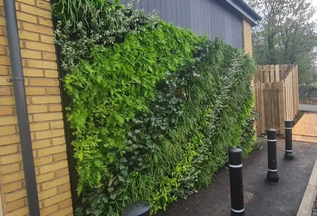 Exterior bespoke HYVERT living wall at Co-op in Penmaenmawr, North Wales