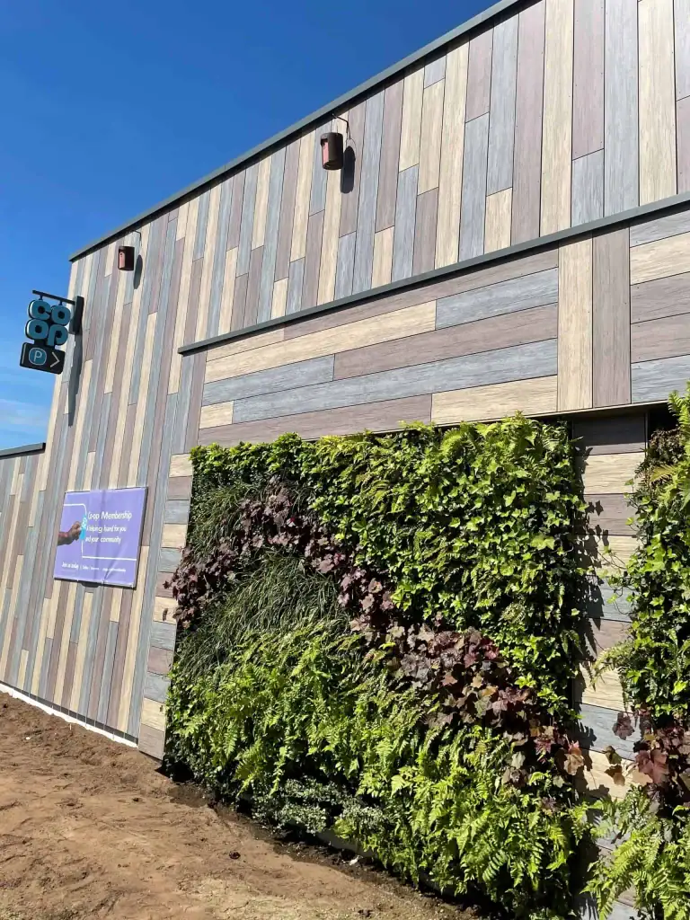 living wall at Co-op Steeple Claydon