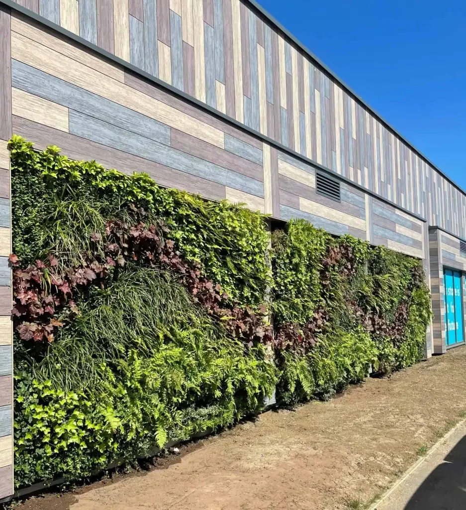 Co Op Steeple Claydon HYVERT living walls increasing biodiversity