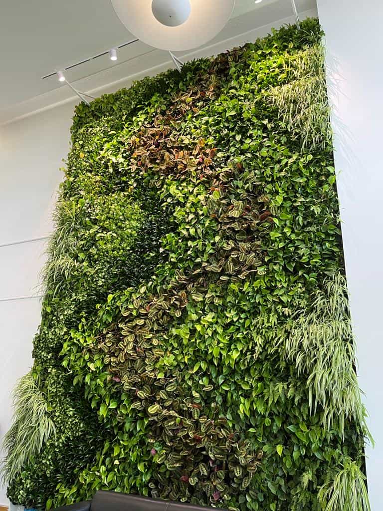 Internal Hyvert living wall for financial sector client