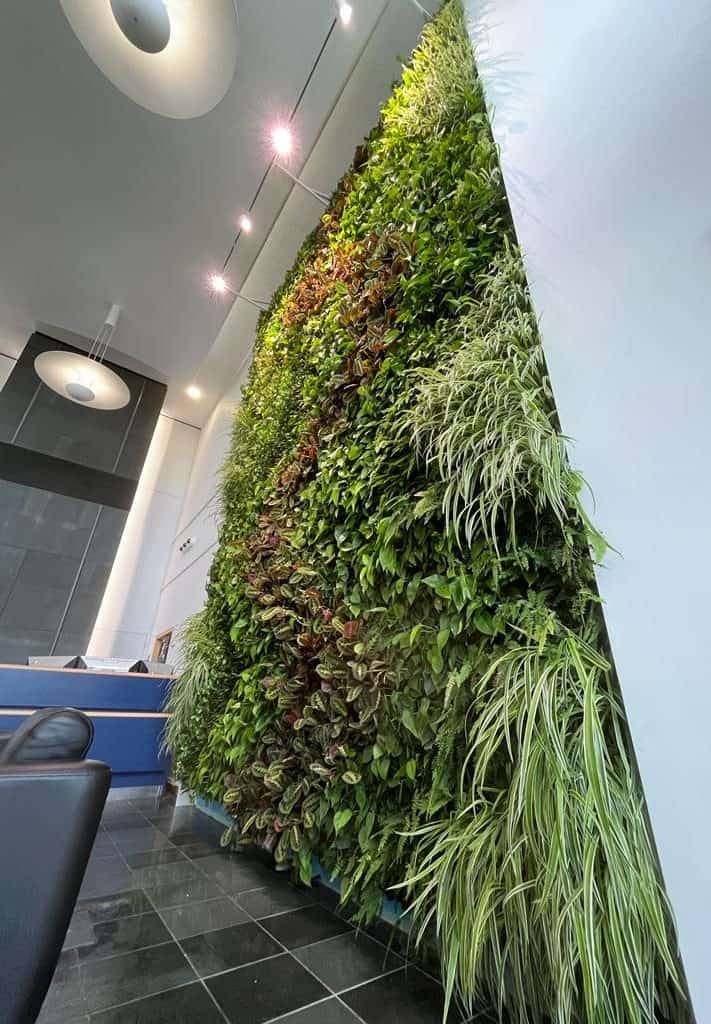 Bespoke internal living wall for a financial sector client