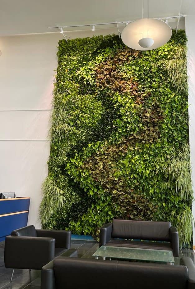 Internal Hyvert living wall by I Want Plants