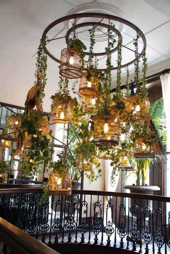 A chandelier of birdcage lighting, dressed with trailing artificial Ivy at Grand Pacific, Manchester