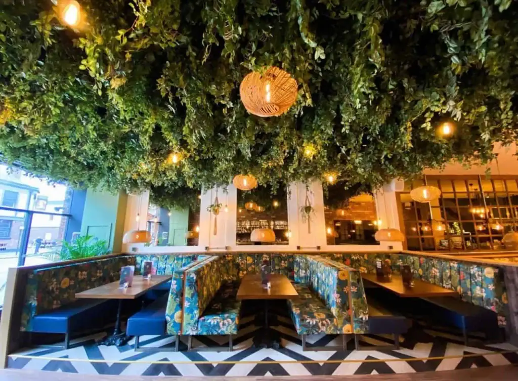The Green Room, Ormskirk's impactful green ceiling made of fire-treated replica Ivy, Scindapsus and Fittonia foliage