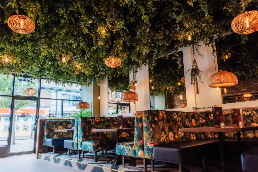 Ivy, Scindapsus and Fittonia foliage to make a green ceiling for The Green Room