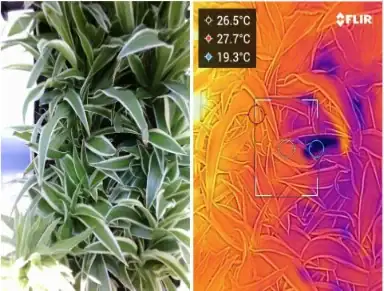 HYVERT Thermal Imaging