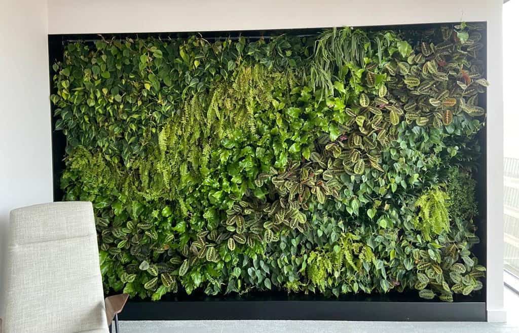 HYVERT living wall installed internally at Hilti