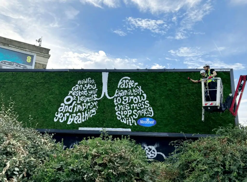 Moss billboard for Build Hollywood