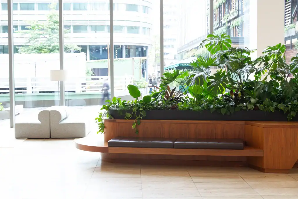 No 1 spinningfields Manchester entrance foyer plant displays by I Want Plants