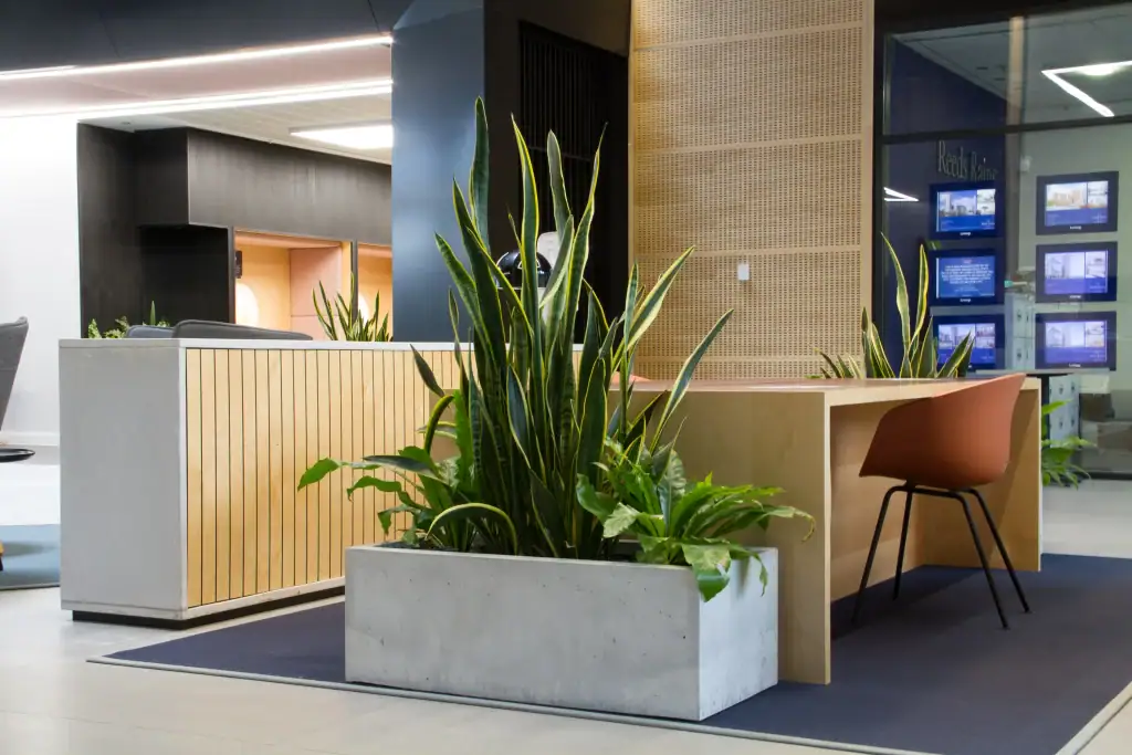 Live plants in grey trough maintained by I Want Plants