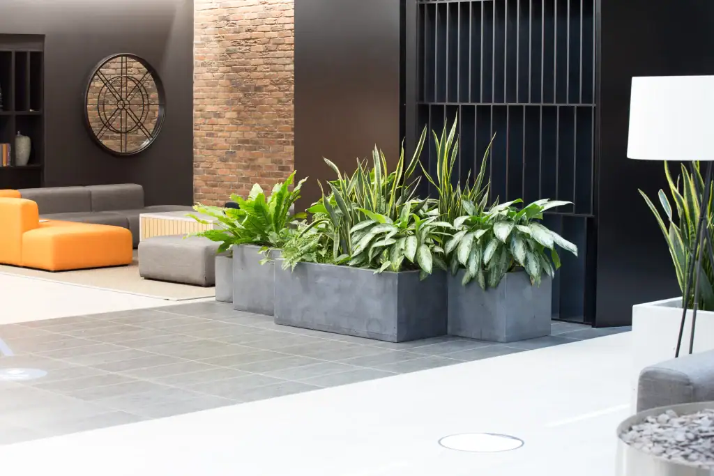 Plants in large steel grey troughs by I Want Plants