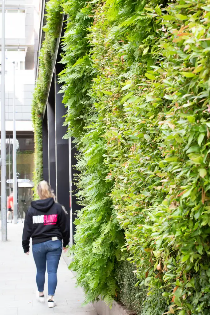 HYVERT living wall with technician at Bruntwood Bloc
