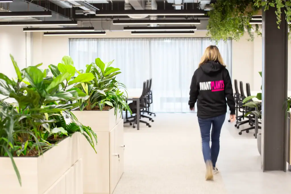 I Want Plants artificial plant installer working on workspace project