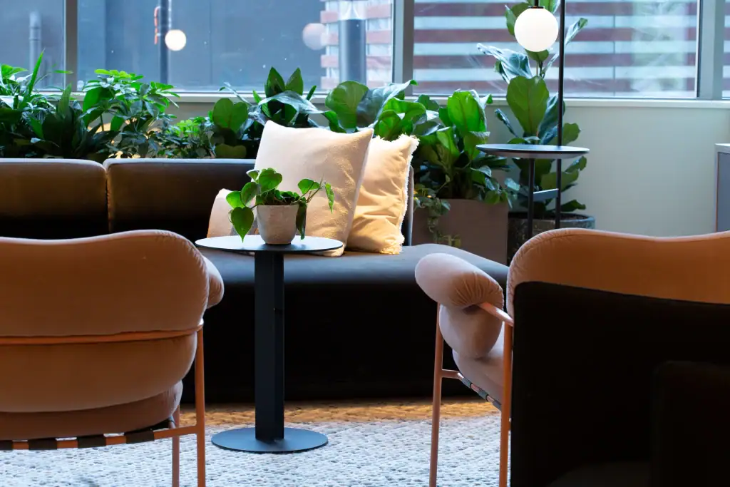 Seating area with live plants in troughs behind