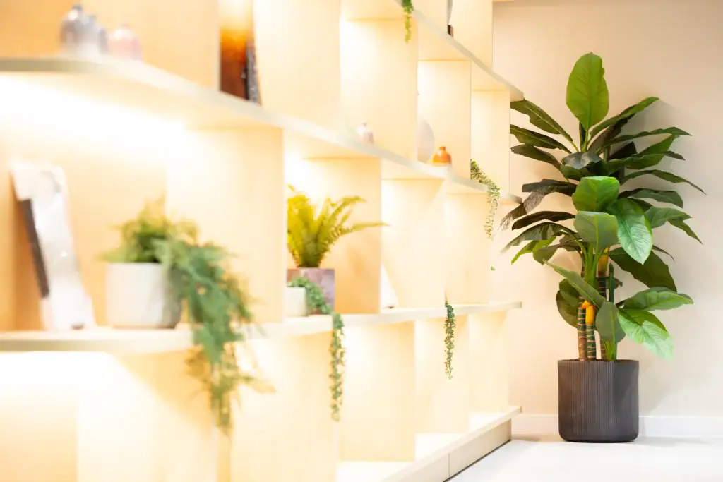 small and large artificial plants by I Want Plants
