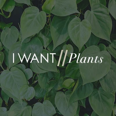 I Want Plants logo 2010