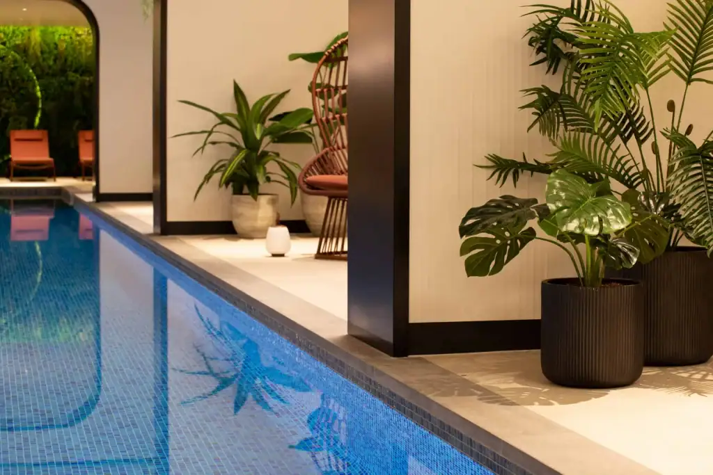 Freestanding pot plants in swimming pool area