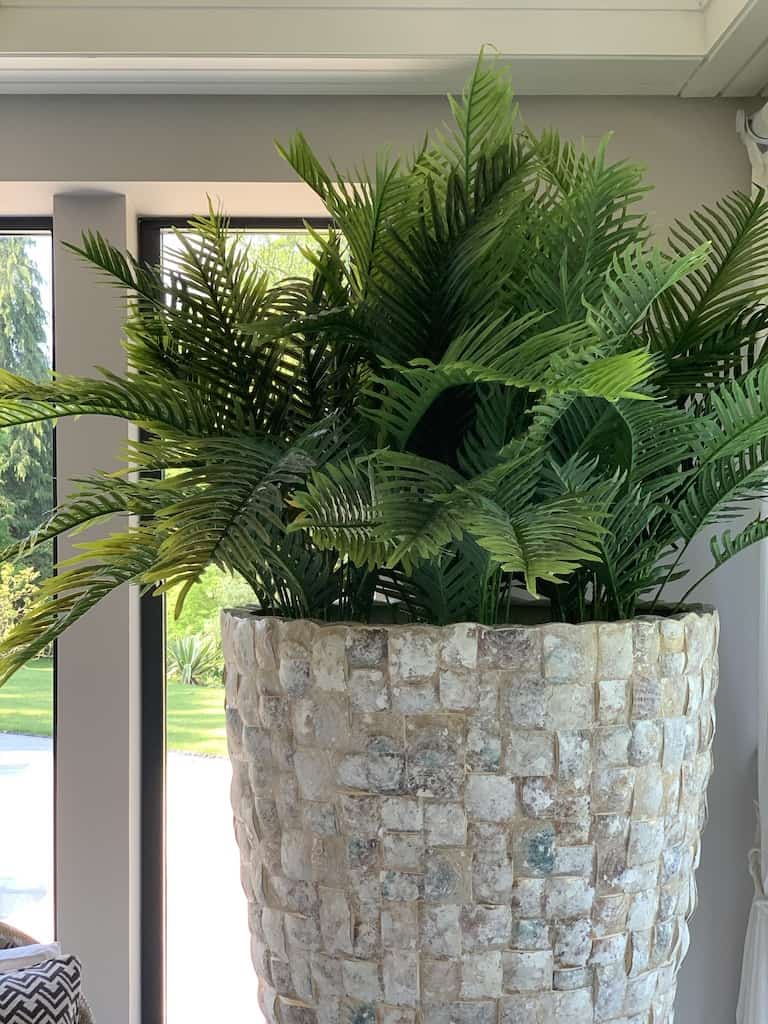 Artificial pot plant in private home leisure and pool setting
