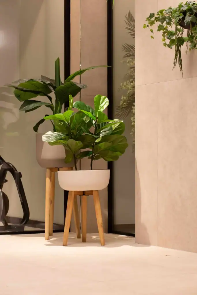 I Want Plants freestanding pots and plants in a private house