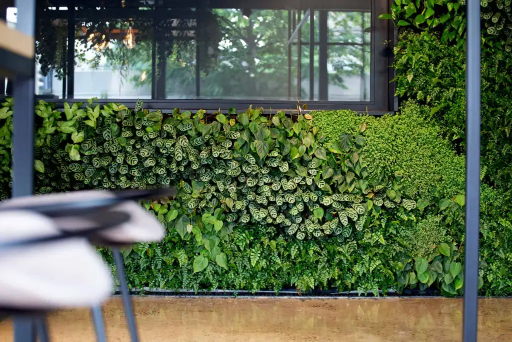 Internal Hyvert living wall for Bruntwood Sci Liverpool Science Park and their Sciontec Partners