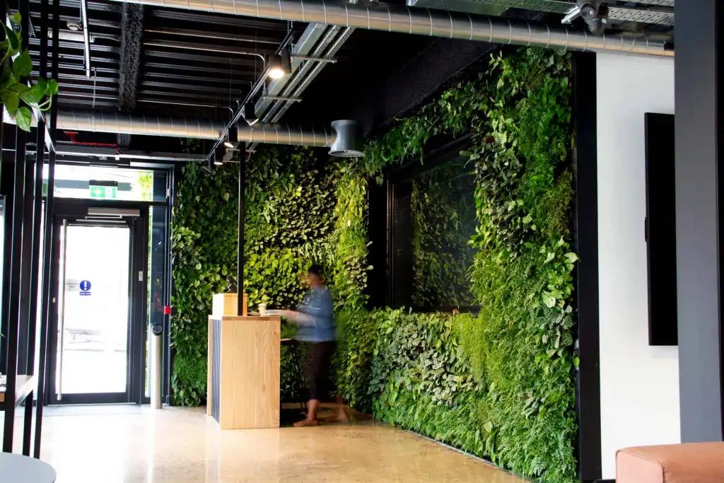 Internal Hyvert living wall for Liverpool Science Park and their Sciontec Partners