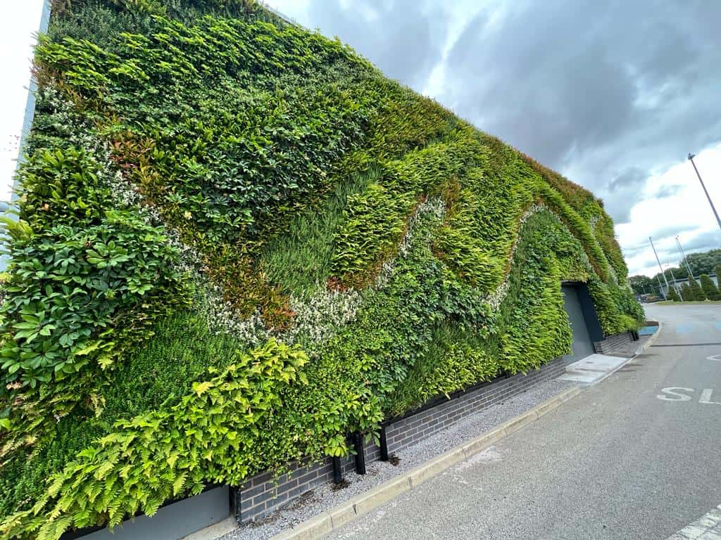 Hyvert living wall at Manchester City Football Club for City Build Manchester