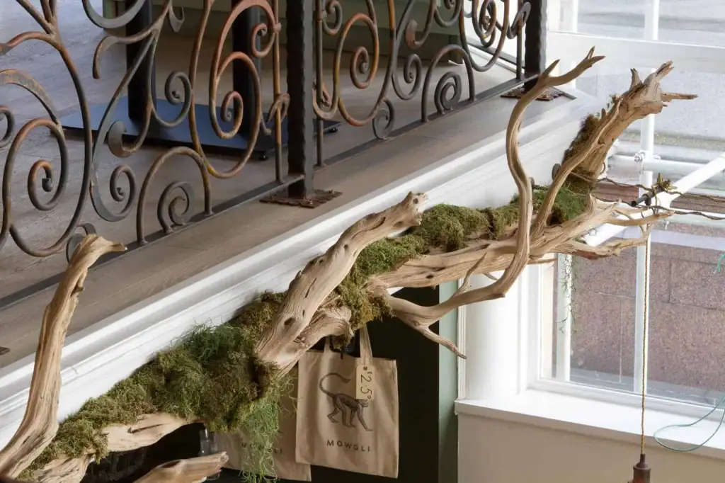 mowgli decorative sandblasted wood and hanging moss