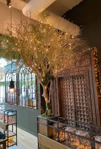 Mowgli custom made tree with twinkly lights by i want plants