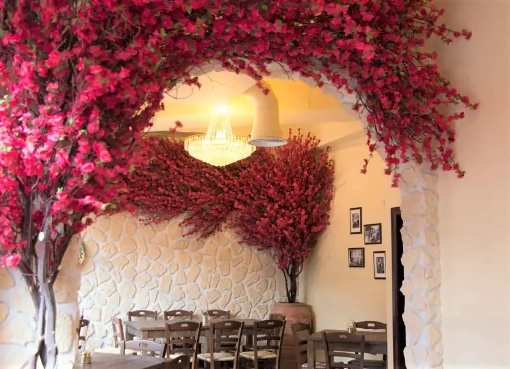 Mythos Taverna's Ghostwood and Manzanita trees in terracotta pots