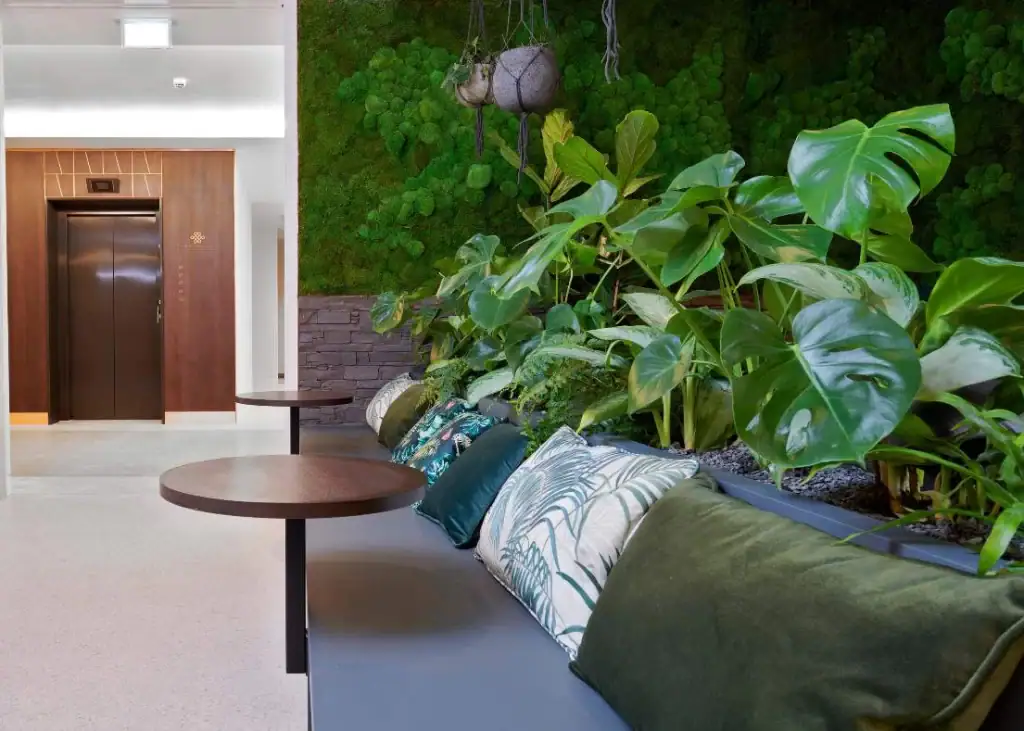 Mix of live plants and preserved moss wall