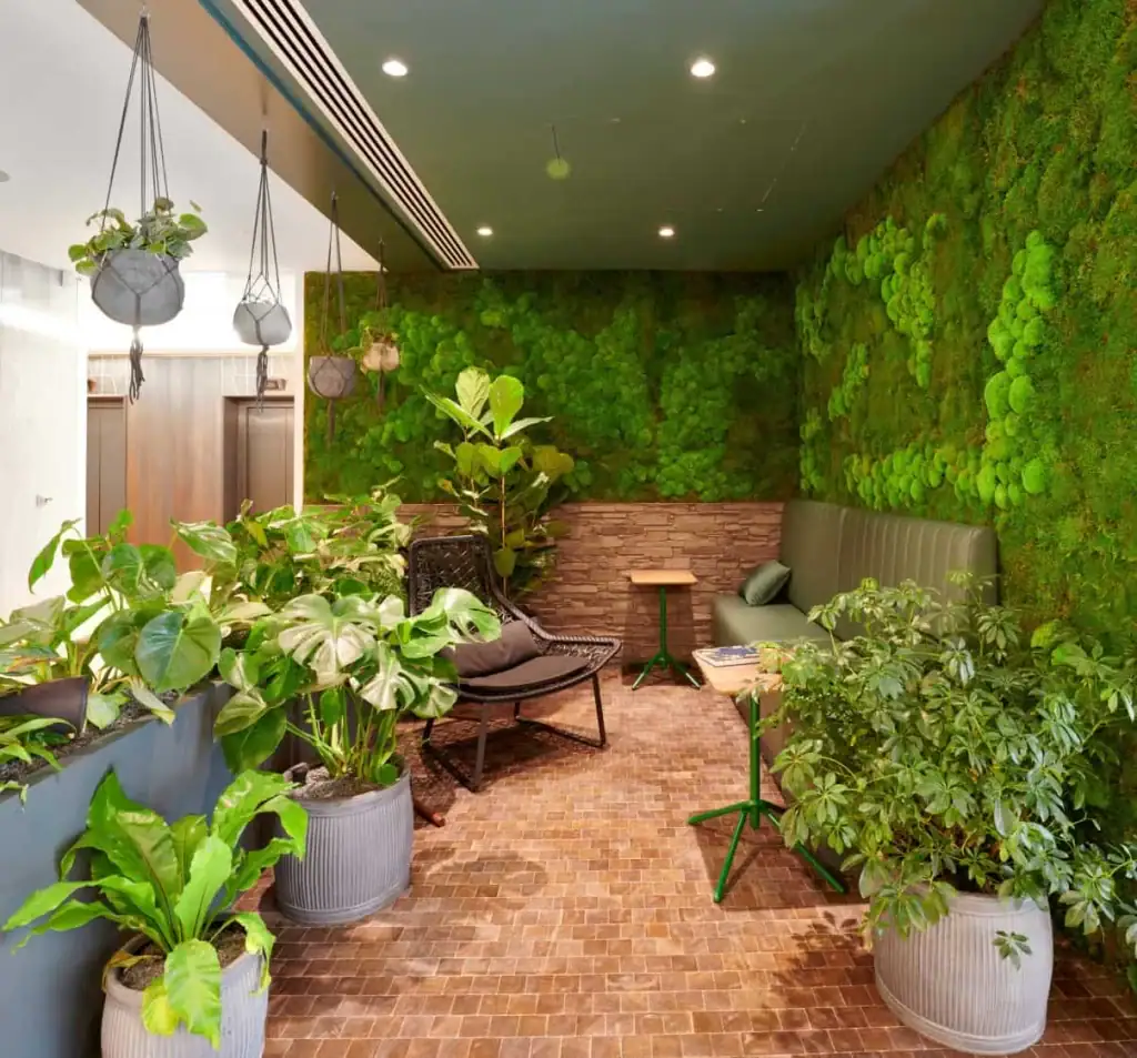 One Victoria green wellness area with live plants and moss wall by I want plants