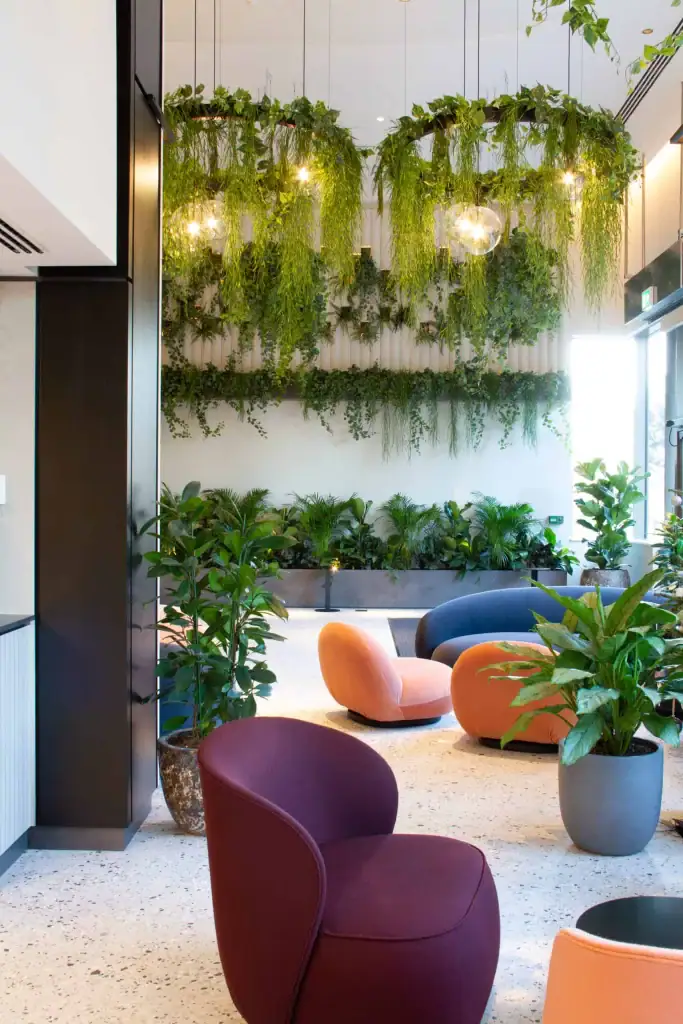 Oxygen Manchester artificial and live plant displays to communal reception area
