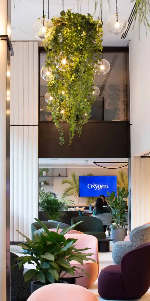 Oxygen Manchester artificial and live plant displays to communal reception area