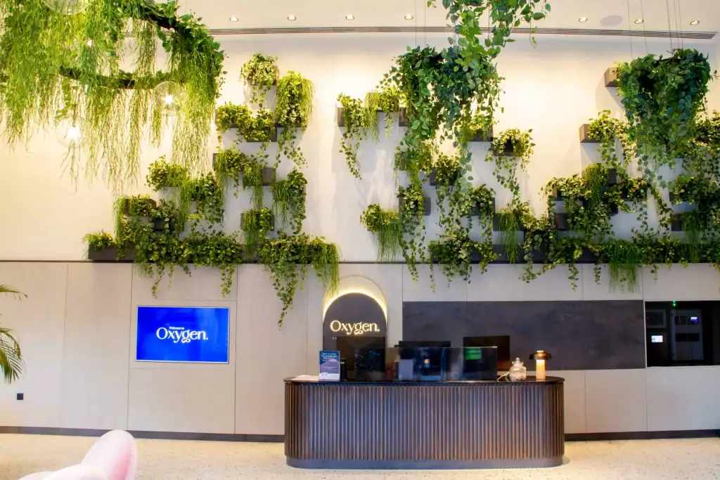 live and artifical plants wall mounted and suspended from ceiling at Oxygen Manchester Reception Area