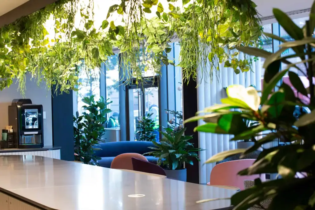Oxygen Manchester artificial and live plant displays to communal reception area