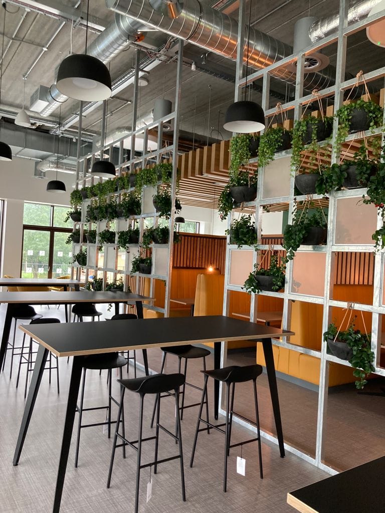 Open plan white shelving with plants in grey bowls suspended from framework