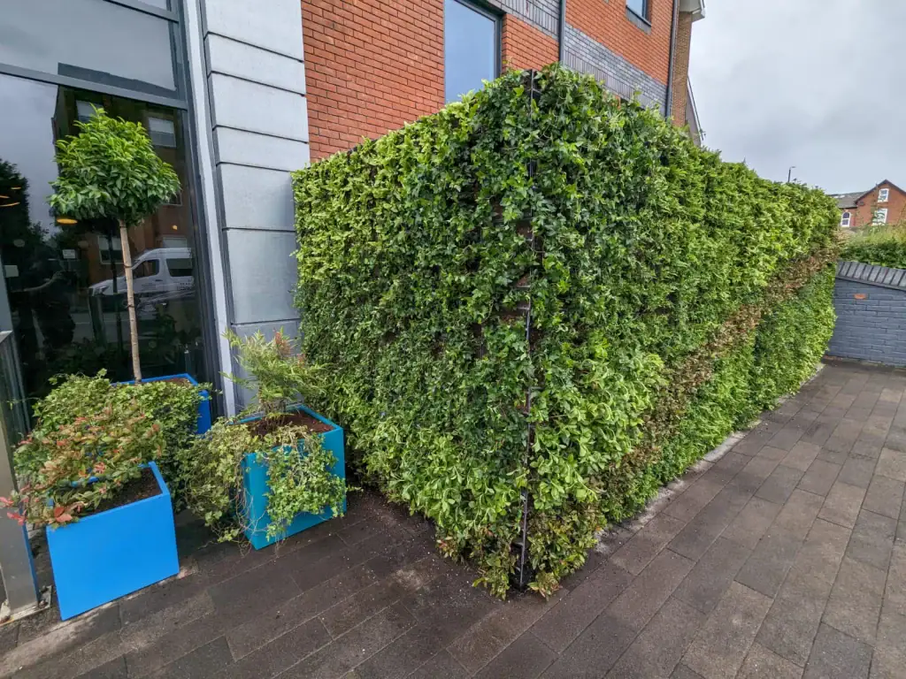 Bespoke planting of Assura's HYVERT living wall by I WANT PLANTS