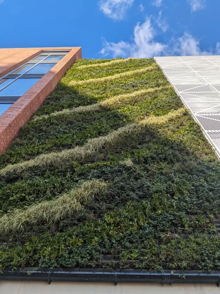looking up at HYVERT living wall