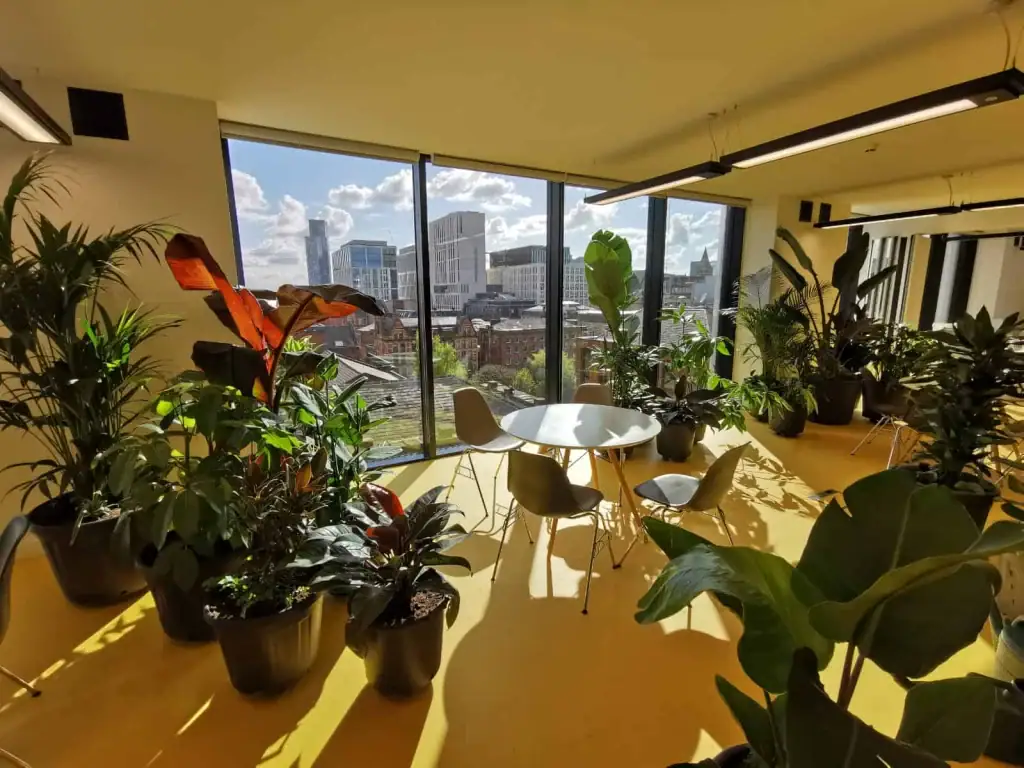 Freestanding clusters of plants at Peak A.I in Manchester