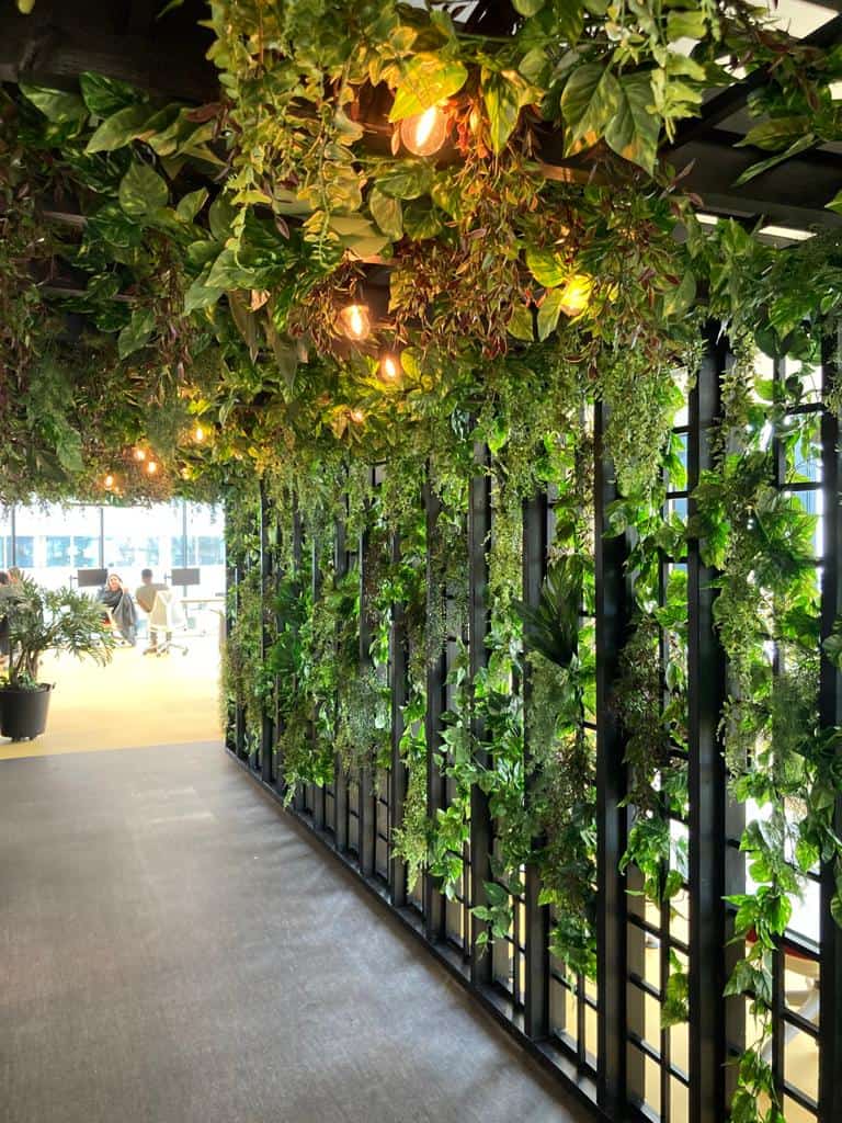 Bespoke planting scheme at Peak A.I's award winning workspace in Manchester