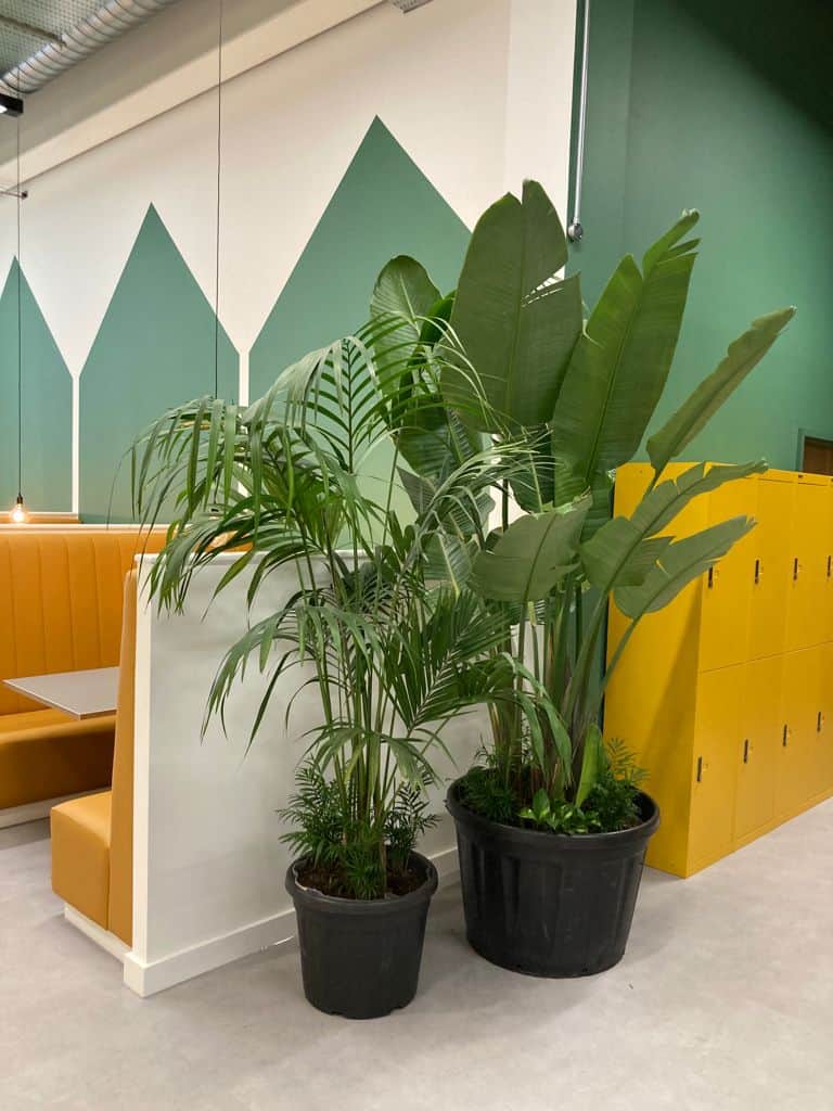 Sheila Bird Design Studio and Workspace Design & Build designed this workspace for PortSwigger and I Want Plants installed the plant scheme