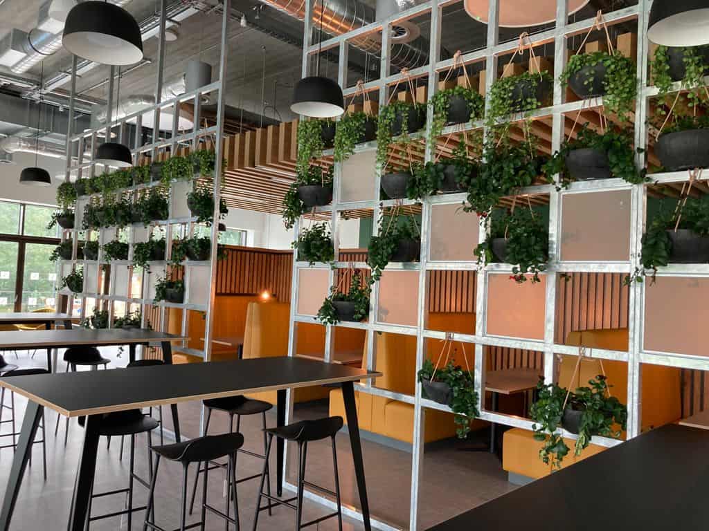 Floor to ceiling open-plan framework with pot plants at PortSwigger