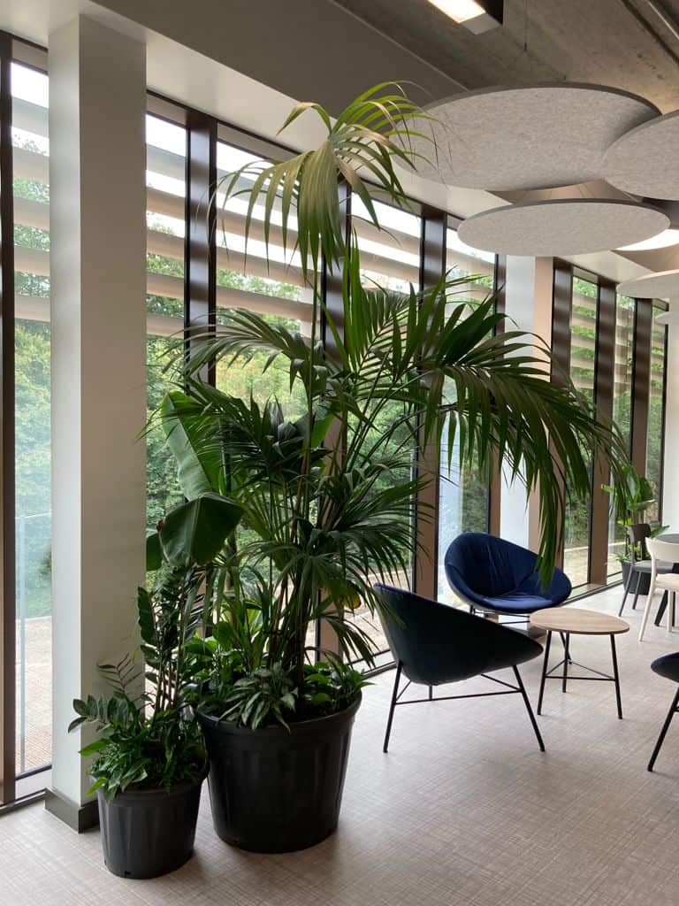 Cluster of live plants at PortSwigger by I Want Plants