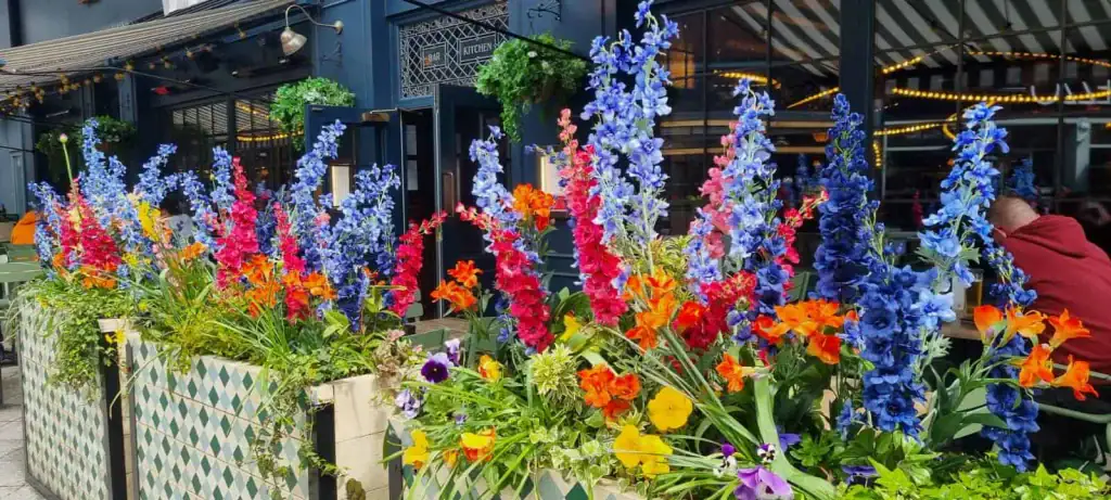 Floral displays for Red Engine Summer Terraces