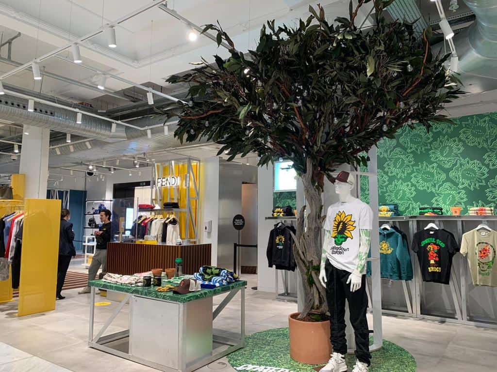Ghostwood trunk and Adianthum foliage for Selfridges Grateful Dead's 'Shakedown Garden' range