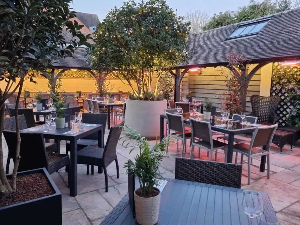 Multi-stem Osmanthus planted into a huge container in the Staffordshire Grill courtyard